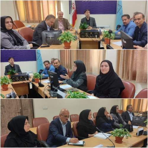 برگزاری کمیته دانشگاهی نظام مراقبت مرگ نوزادان