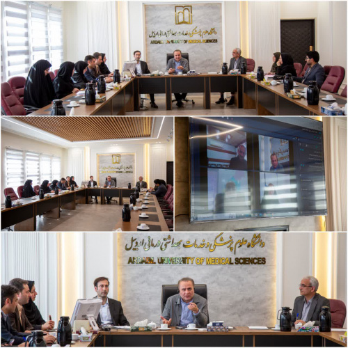 بررسی علل و چالش‌های موجود در زمینه مرگ‌های مادری