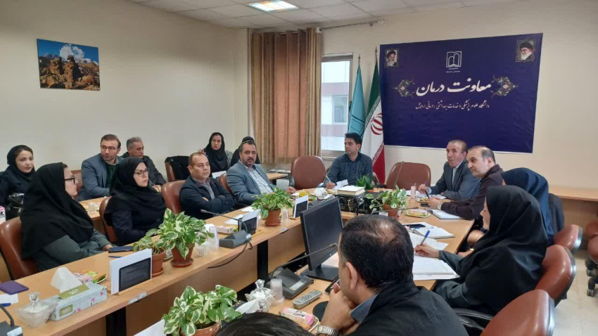 بررسی مسائل و مشکلات موجود بین بیمه های پایه و بیمارستان ها در معاونت درمان